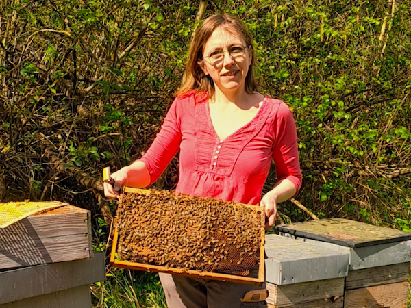 Imkerin der Imkerei Windisch mit einer von Bienen besetzten Wabe